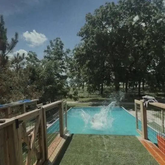 Big splash as a dog lands in the pool at the end of the dock