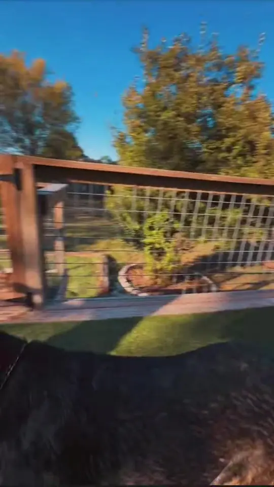 Video still: Zazu’s first time off a dock